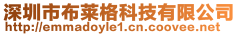 深圳市布莱格科技有限公司