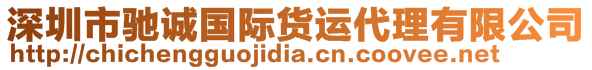 深圳市馳誠國際貨運代理有限公司