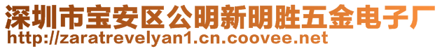 深圳市寶安區(qū)公明新明勝五金電子廠