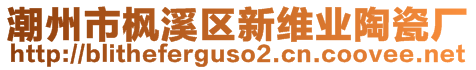 潮州市枫溪区新维业陶瓷厂