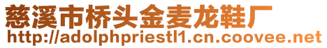 慈溪市橋頭金麥龍鞋廠