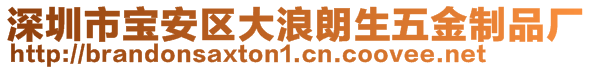 深圳市寶安區(qū)大浪朗生五金制品廠