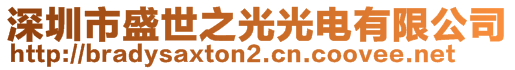 深圳市盛世之光光電有限公司