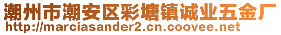 潮州市潮安區(qū)彩塘鎮(zhèn)誠業(yè)五金廠