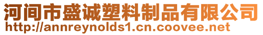 河間市盛誠塑料制品有限公司