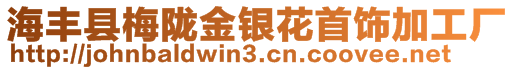 海豐縣梅隴金銀花首飾加工廠