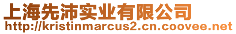 上海先沛實業有限公司