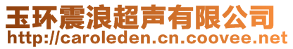 玉環(huán)震浪超聲有限公司