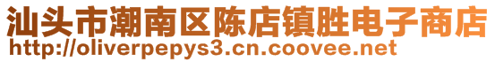 汕頭市潮南區陳店鎮勝電子商店
