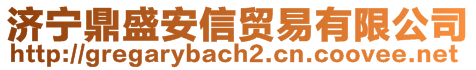 济宁鼎盛安信贸易有限公司