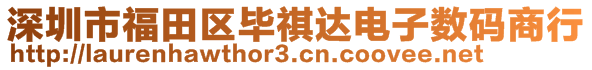 深圳市福田區(qū)畢祺達(dá)電子數(shù)碼商行