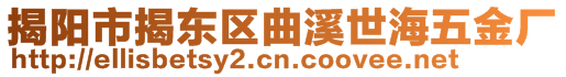 揭陽市揭東區(qū)曲溪世海五金廠