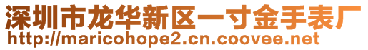 深圳市龙华新区一寸金手表厂