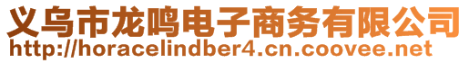 義烏市龍鳴電子商務(wù)有限公司