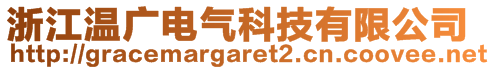 浙江溫廣電氣科技有限公司