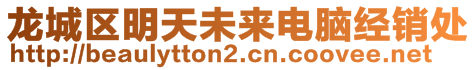 龍城區(qū)明天未來電腦經(jīng)銷處