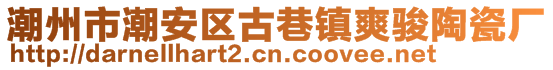 潮州市潮安区古巷镇爽骏陶瓷厂