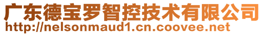 廣東德寶羅智控技術有限公司