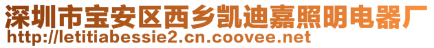 深圳市寶安區西鄉凱迪嘉照明電器廠