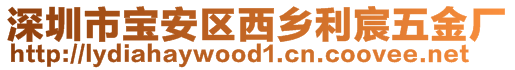 深圳市寶安區(qū)西鄉(xiāng)利宸五金廠