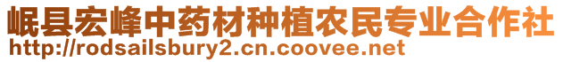 岷縣宏峰中藥材種植農(nóng)民專業(yè)合作社