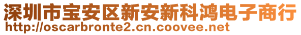 深圳市宝安区新安新科鸿电子商行