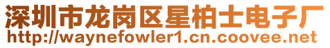深圳市龍崗區(qū)星柏士電子廠
