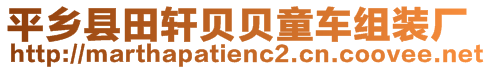 平鄉(xiāng)縣田軒貝貝童車組裝廠