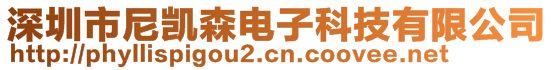 深圳市尼凱森電子科技有限公司