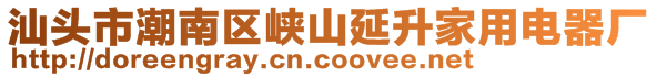 汕頭市潮南區(qū)峽山延升家用電器廠