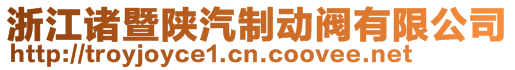 浙江諸暨陜汽制動閥有限公司