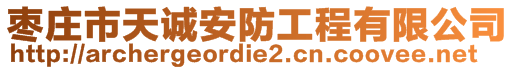 棗莊市天誠安防工程有限公司