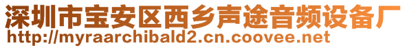 深圳市寶安區(qū)西鄉(xiāng)聲途音頻設(shè)備廠