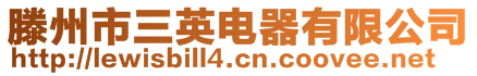 滕州市三英電器有限公司