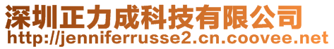 深圳正力成科技有限公司