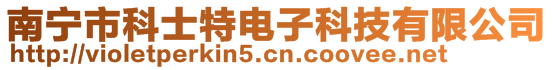 南寧市科士特電子科技有限公司