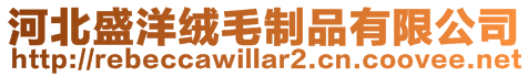 河北盛洋絨毛制品有限公司