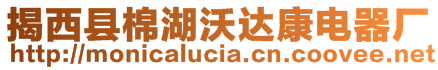 揭西縣棉湖沃達康電器廠