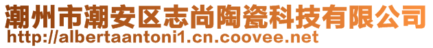 潮州市潮安區(qū)志尚陶瓷科技有限公司