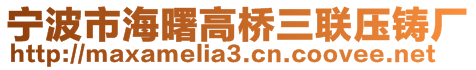 寧波市海曙高橋三聯(lián)壓鑄廠