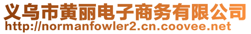 義烏市黃麗電子商務有限公司