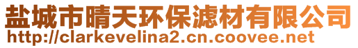 盐城市晴天环保滤材有限公司