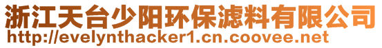 浙江天臺少陽環保濾料有限公司