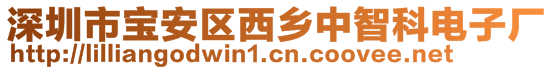 深圳市寶安區(qū)西鄉(xiāng)中智科電子廠