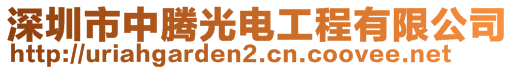 深圳市中騰光電工程有限公司