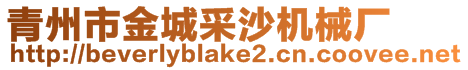 青州市金城采沙機械廠