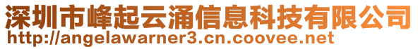 深圳市峰起云涌信息科技有限公司