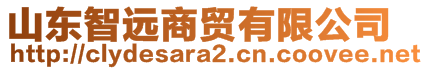 山東智遠(yuǎn)商貿(mào)有限公司