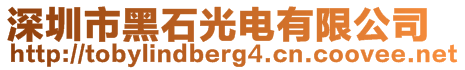 深圳市黑石光電有限公司