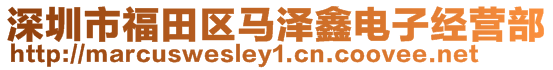 深圳市福田區馬澤鑫電子經營部